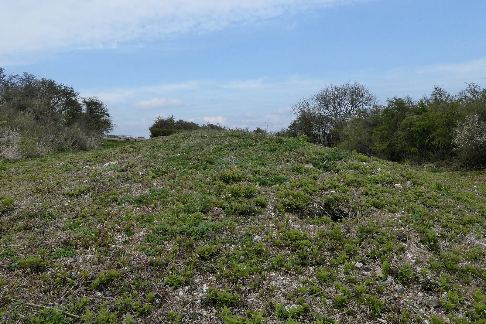 Long Burgh Long Barrow
